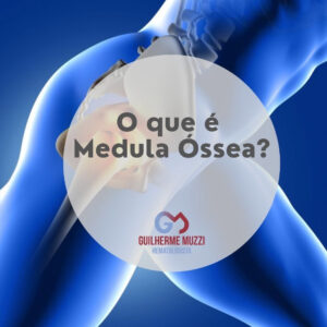 O que é medula óssea?